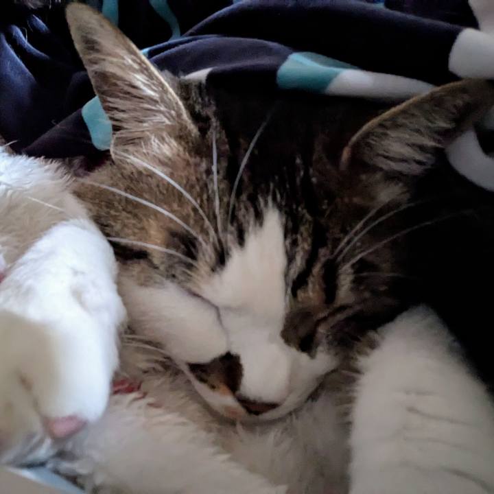 3044bdb1 62f3 4131 a03d 7fd85e0448dc 1743285625401