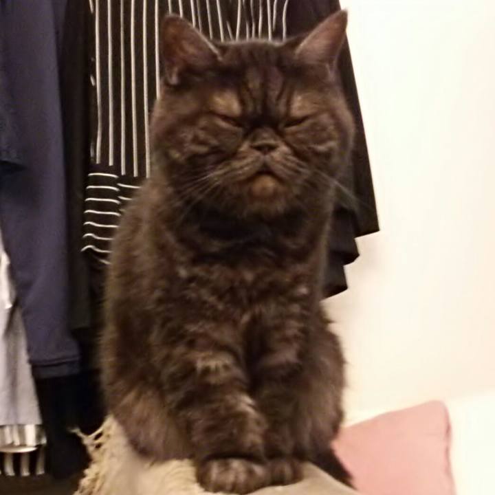 3044ca16 674b 45d5 9a3b 544b7c1fa61a 1544318782854