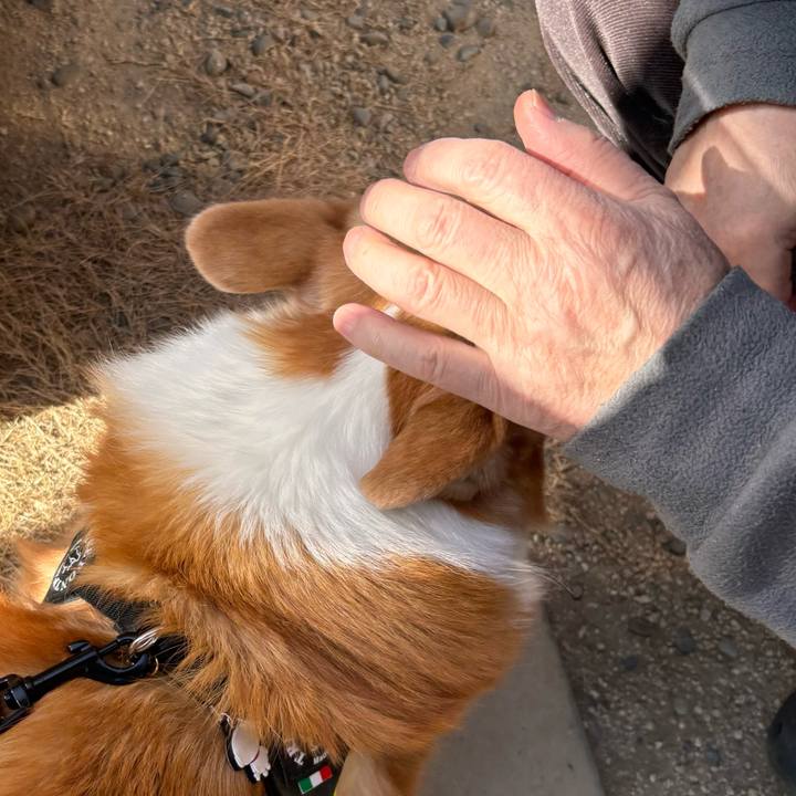 3044eff2 5556 4d8b b89a 5462185ca7e2 1768189321509