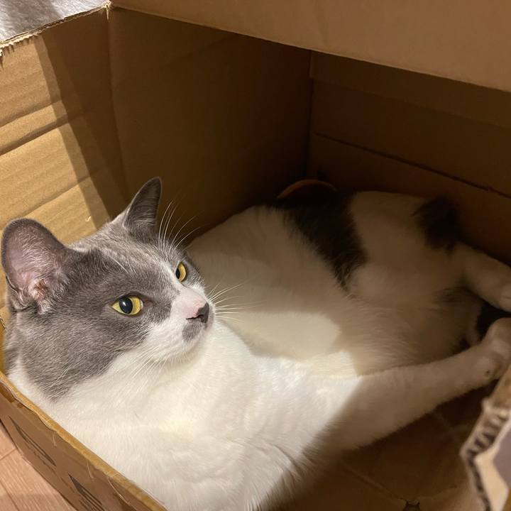 3044ffdb 4807 4c68 ac05 40322bd5b2b7 1659007133495