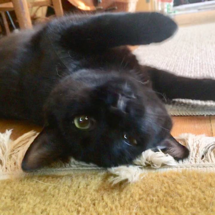 30450fd8 aeb6 4038 b03a 1677ed192819 1526514633781