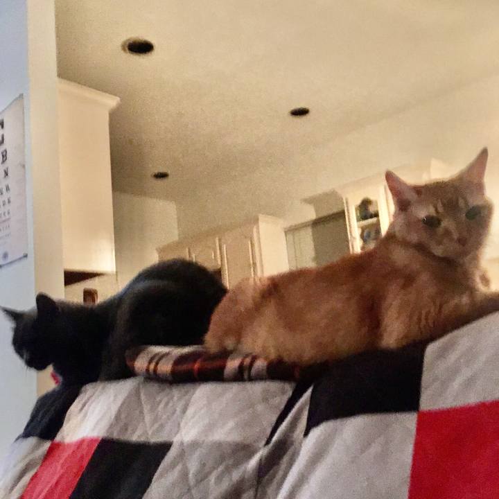 3045247e 751e 46dc a500 2529ab5f715d 1665190267918