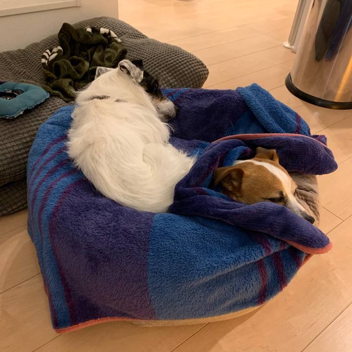 30454e27 12ad 43d8 ad5a 50db1d597410 1583235868522