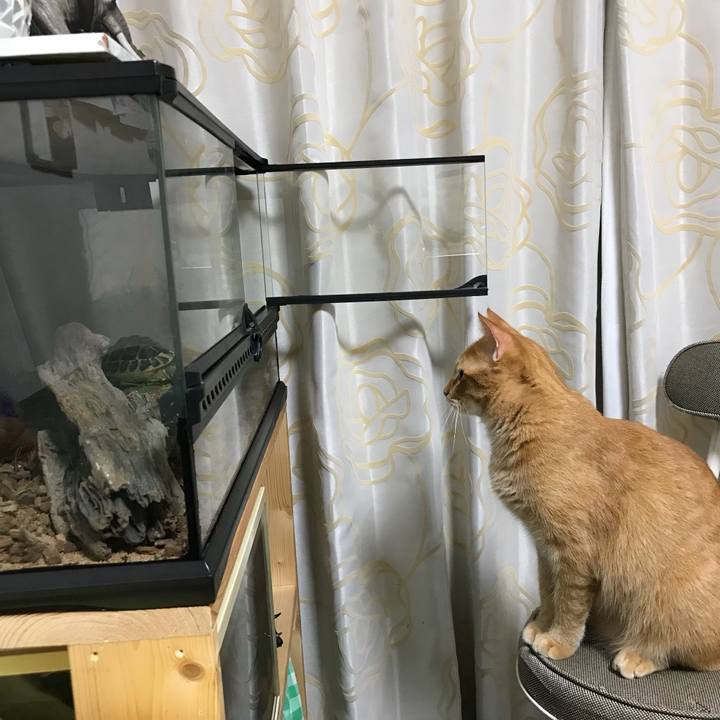 304591cf 6673 443d 8358 d6e10831350f 1538489593440