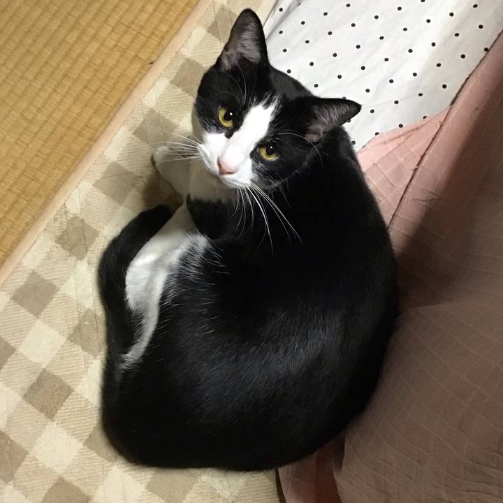 3045922c 4bbb 4ff5 bf1f f8fecd56a8e1 1669209113555