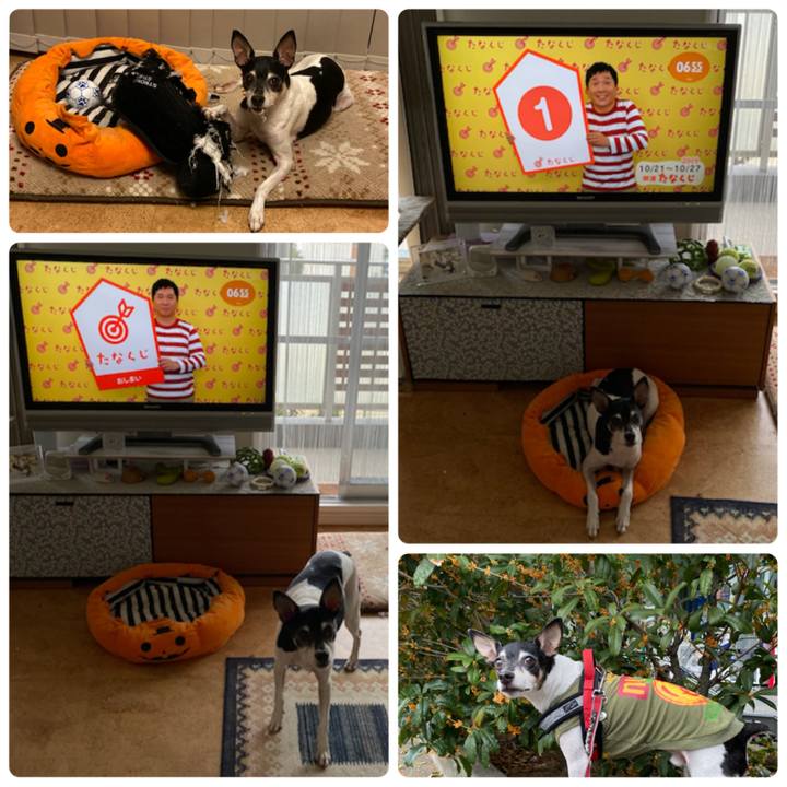 3045b5c1 8045 4129 9124 cb5c40e09b91 1571609513201