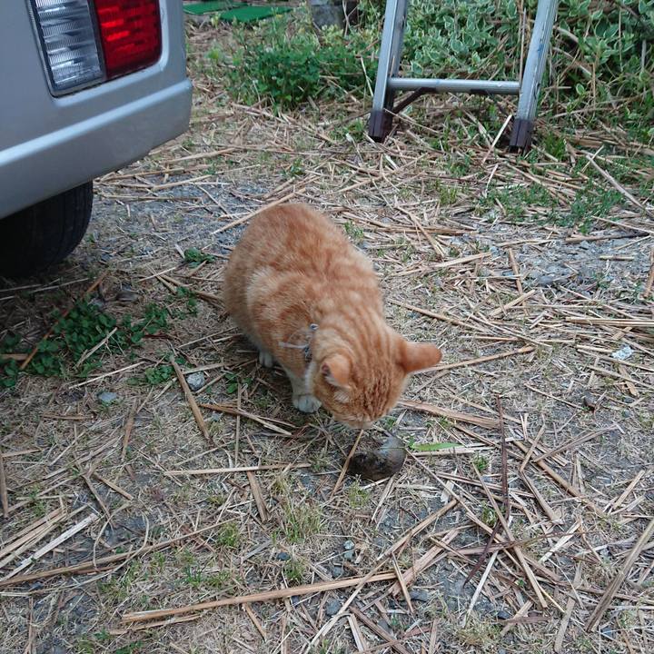 3045b7c7 a964 4fa2 9b3d 685bd04eea84 1592513773748