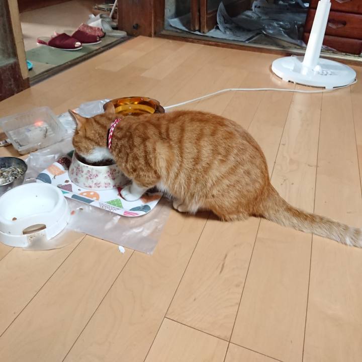 3045b7ef 0d38 404c 8f89 21545fd6737a 1597955288329