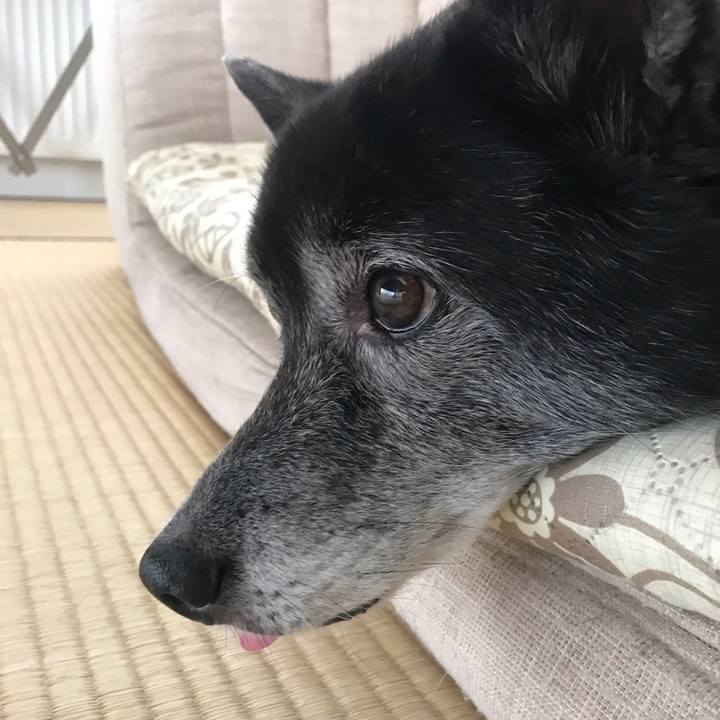 3045dab7 280f 44f8 9d23 8ec2cb8a3364 1645060458297