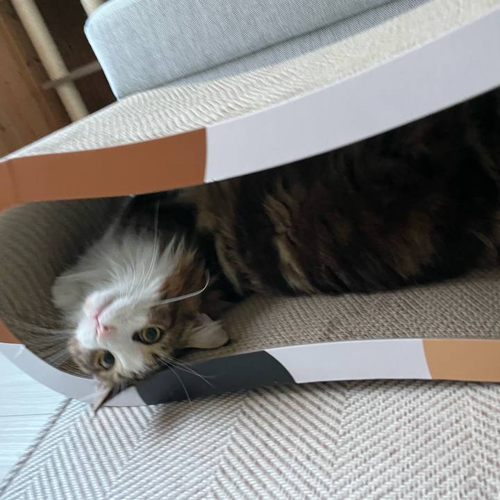 3045f15c b2a5 4788 842d 964a92ca4ec8 1655495529436