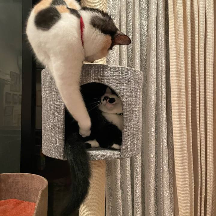 3045f7d7 e4be 445b 9394 b0666ed1de58 1724598057716