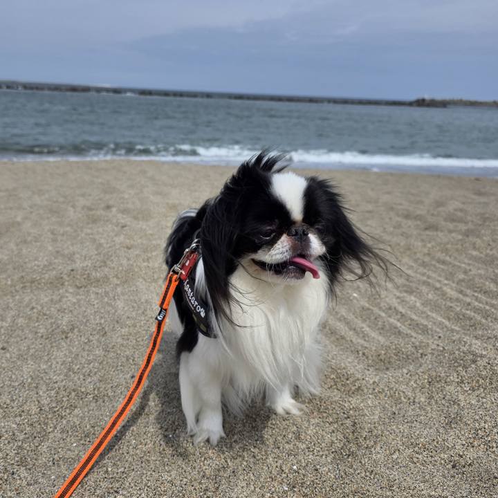 3045ff22 7833 4fa2 9b46 67932224a10c 1747974429471