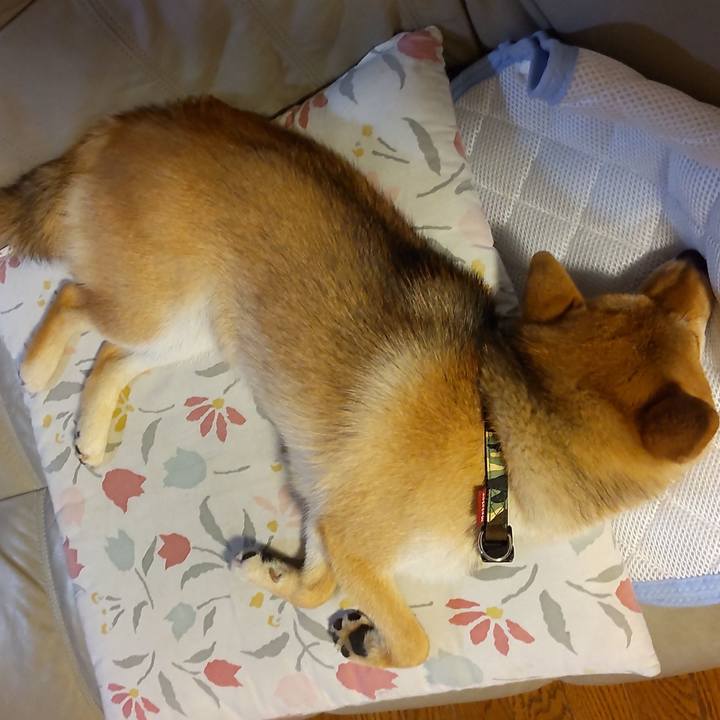 30460c58 cd27 4184 9ea9 865609b0fb61 1623496595935