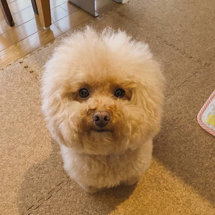 30461f87 b461 47a3 9806 44976fefcee1 1533510484537