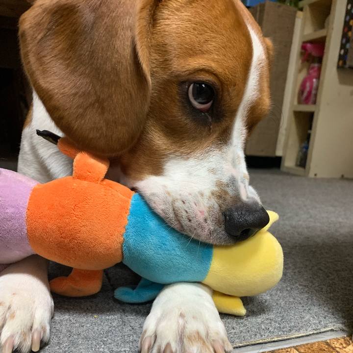 304632b3 dd5e 490f bddb 5f9331fe6fb5 1567329610113