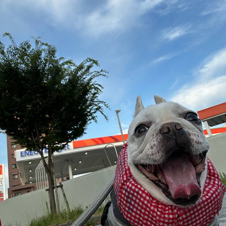 3046745f 3c44 4c36 b29a 61e1073113df 1688337213220