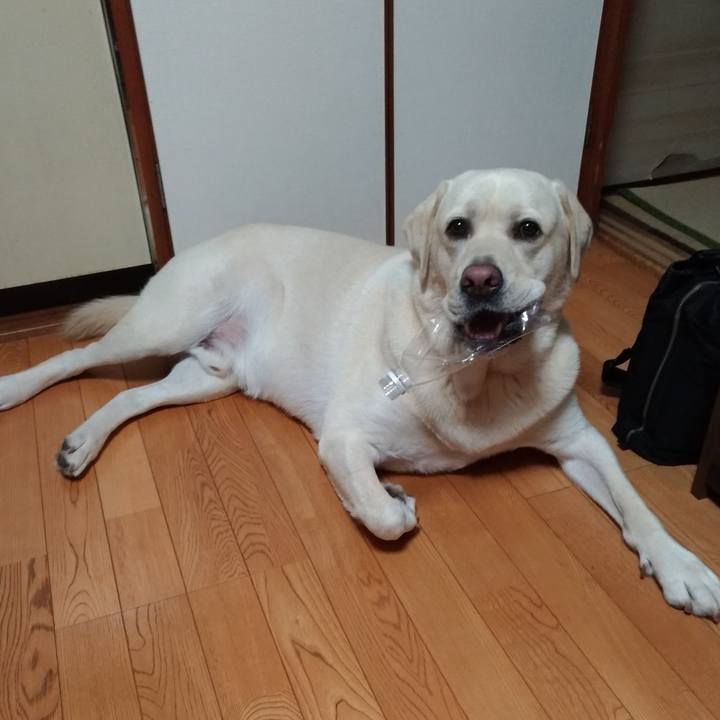 30468a4f 4dc3 4e59 9c26 54be75565270 1570254575514