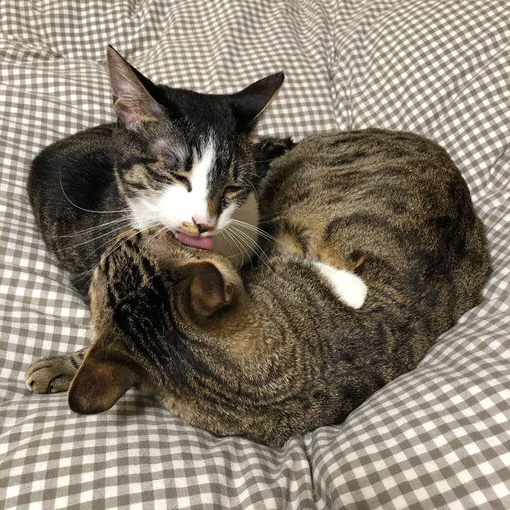 3046a5e5 6da2 4fd2 bf6d dbdea05b548c 1516360335754