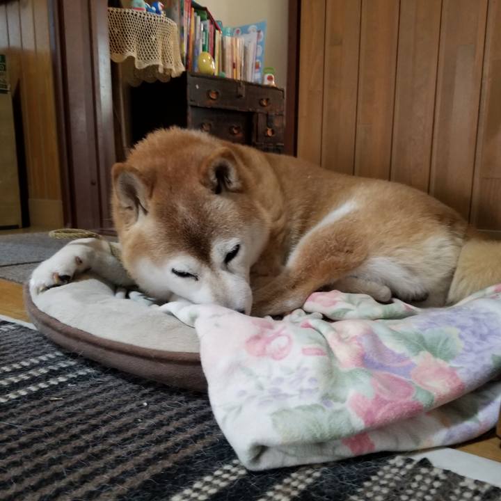 3046fe14 0933 426b 940d 4c4593a25fdf 1694215899796