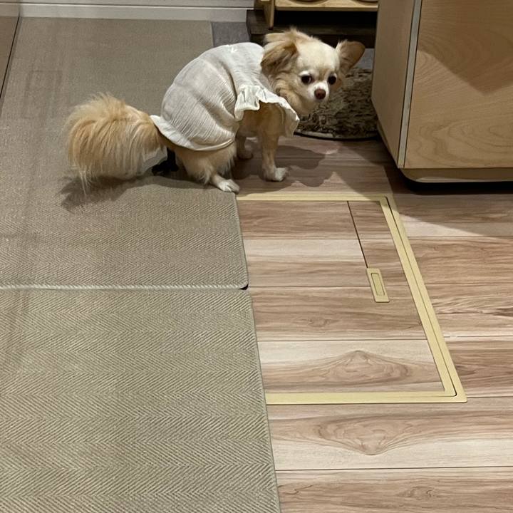 3047104b e018 4f91 b9b8 8688fdcf7de6 1751119309649