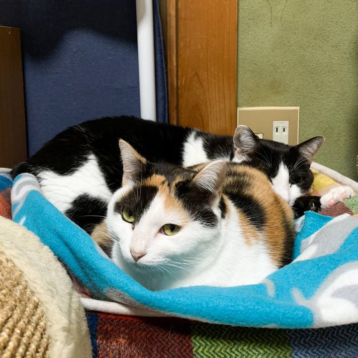 3047230b aba6 4d60 b09e b044d50e5df8 1574822271552