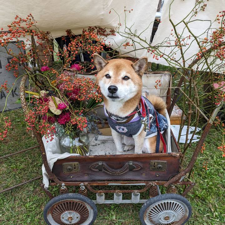 30475b47 7bc5 4e3a b842 25848e8813c6 1699713830311