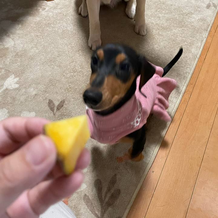 3047670c 179c 4330 8f20 d7c3febb5cde 1639700990674