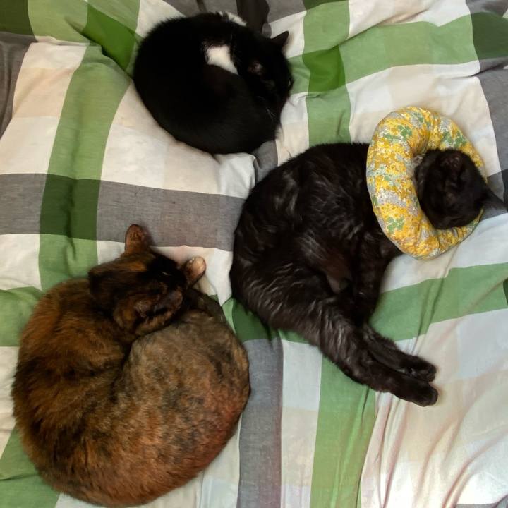 30477304 5d58 4630 a526 aa190166b4b3 1715152078621