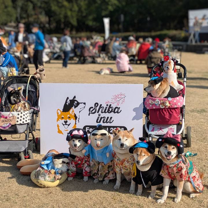 3047738a 16aa 4d3b a144 9bc817e8e265 1772519585244