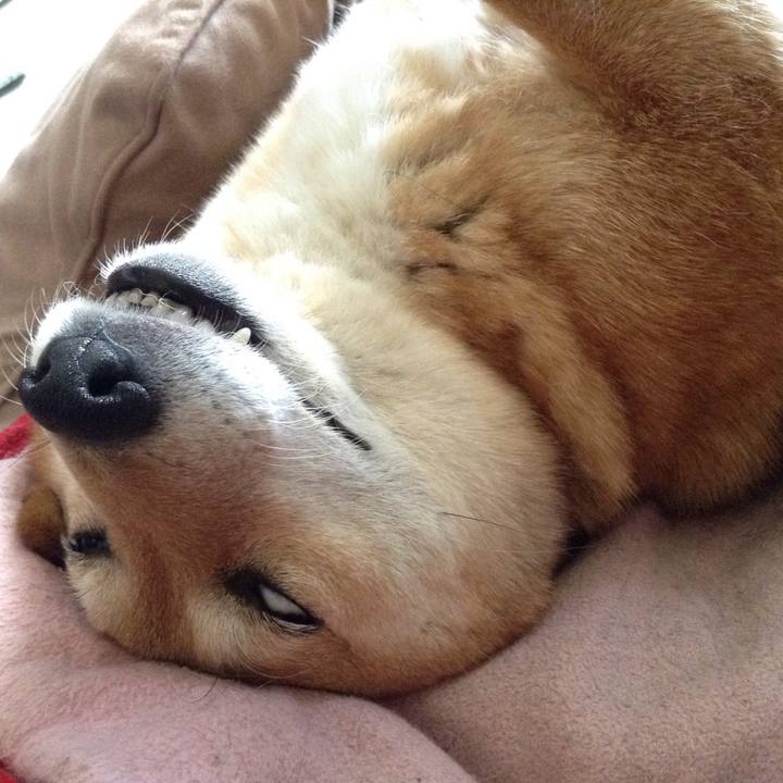 304789d3 d92e 435e ac02 ebc3fc3eec97 1538809381632