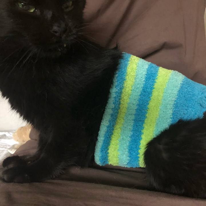 3047c7a0 f54e 4d95 96d5 47be7bf0195c 1635805546588