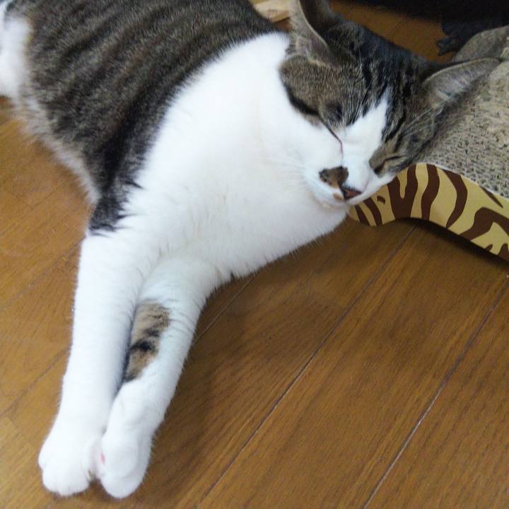 3047db0e 4110 4b97 afc3 0831caac1b57 1660521561175