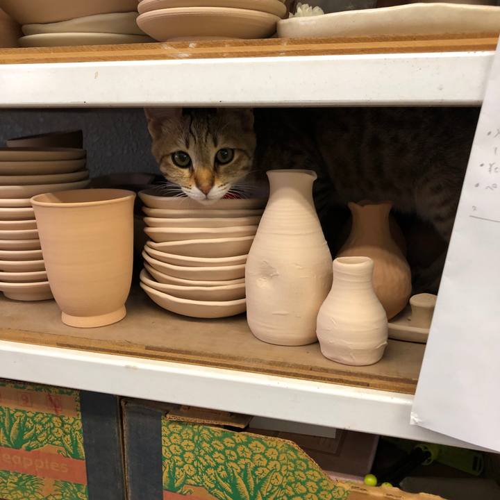 3047e66a 68d9 4c37 86e0 5fdb4cb28efa 1582765879288