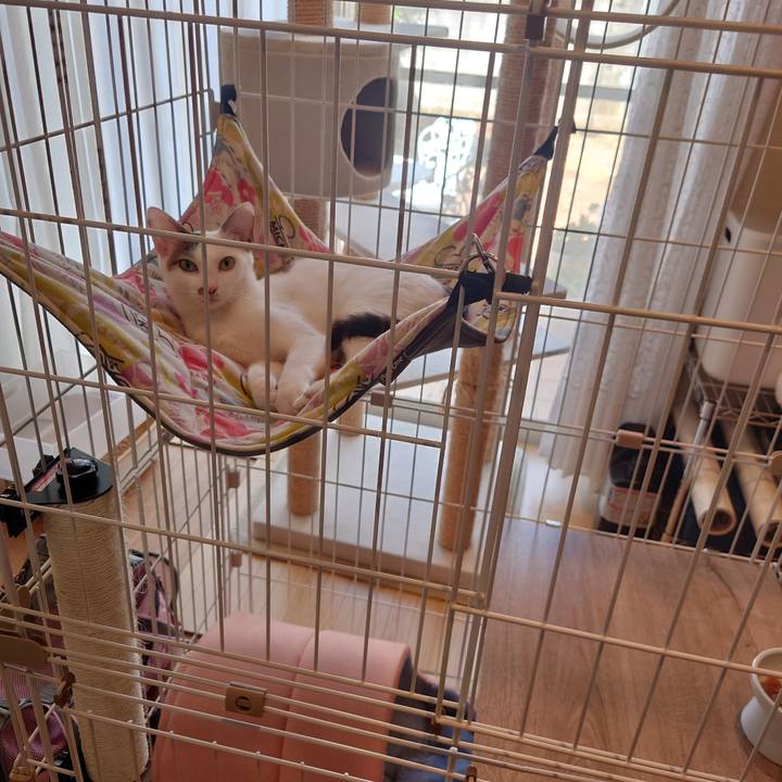 30480b6e 1ebb 4fbf bfa7 600b0225f845 1690160694193