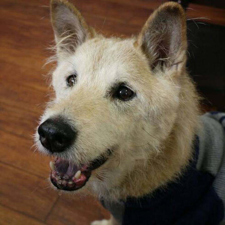 30483d18 3212 4d7d 9303 86b4b8472431 1512000295648