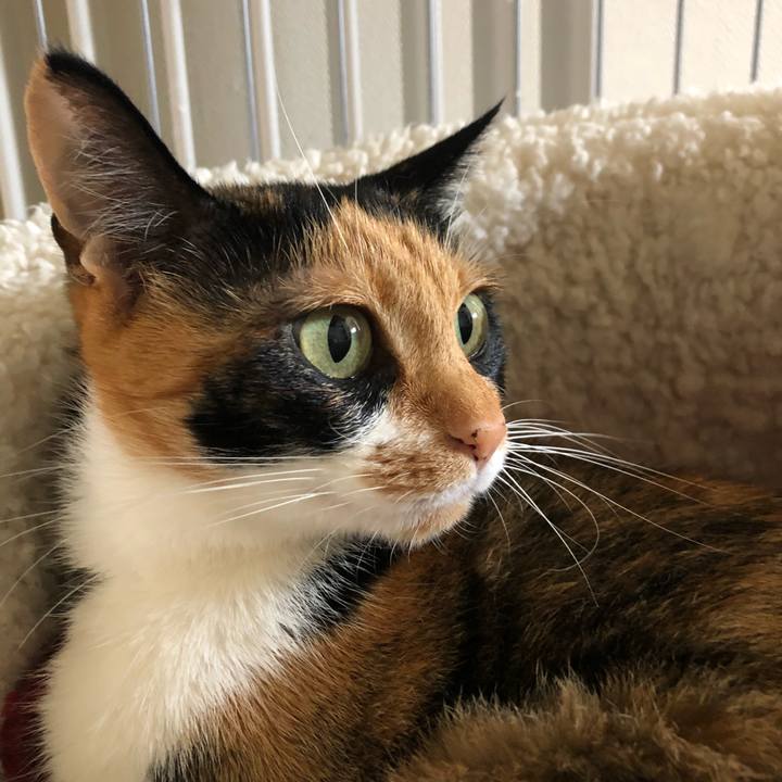 3048900e d986 4f35 b13b 300a24e00b3c 1537063197295