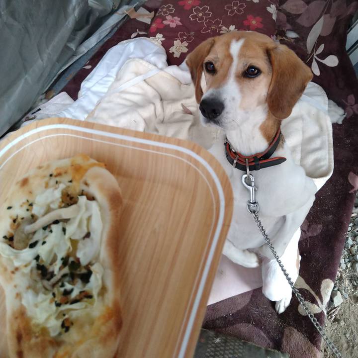 3048d044 b1f5 43fb bed3 90f56c2f05ab 1642139788122