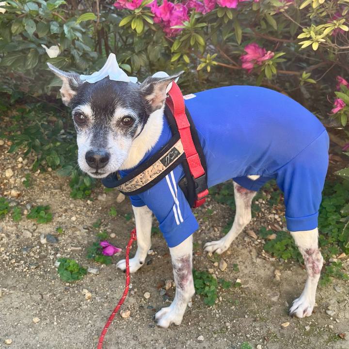 3048e08e d001 4952 b2a9 f2d55399ca8b 1651573511237