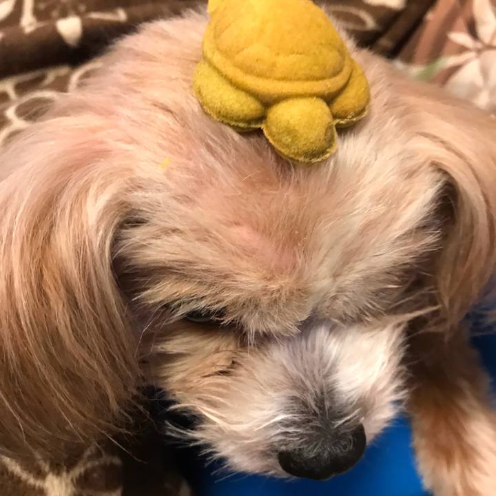 3048f46a 2d36 4d95 a029 d570665c7c0b 1525775958212