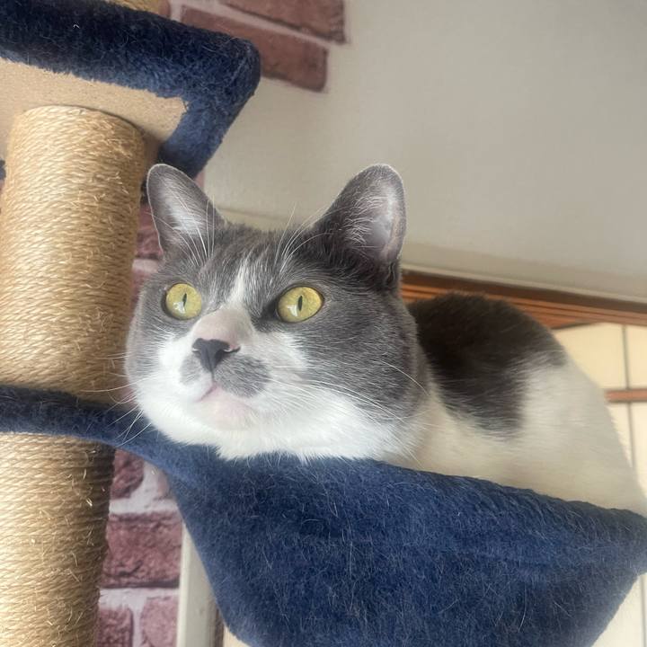 3049064e 5934 46fa a3f9 e2e326b441f8 1711841869561