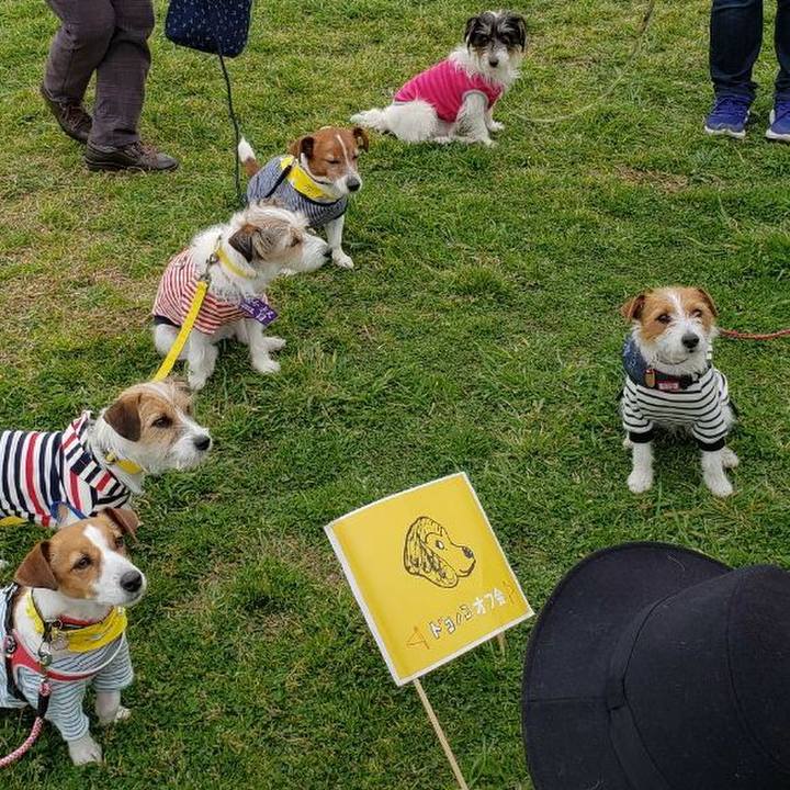 30490b52 71b4 4861 861a 61a43a88203b 1552258451862