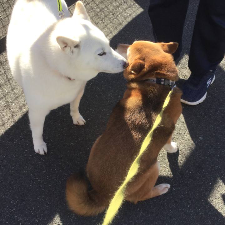 304956c4 6862 47fd 8541 c4a4fdc11db9 1613440275777