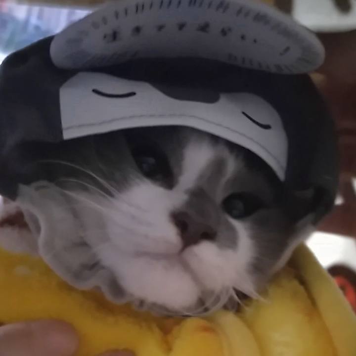 30497e8d 5173 4651 a90e ca39acdd1742 1565497409212