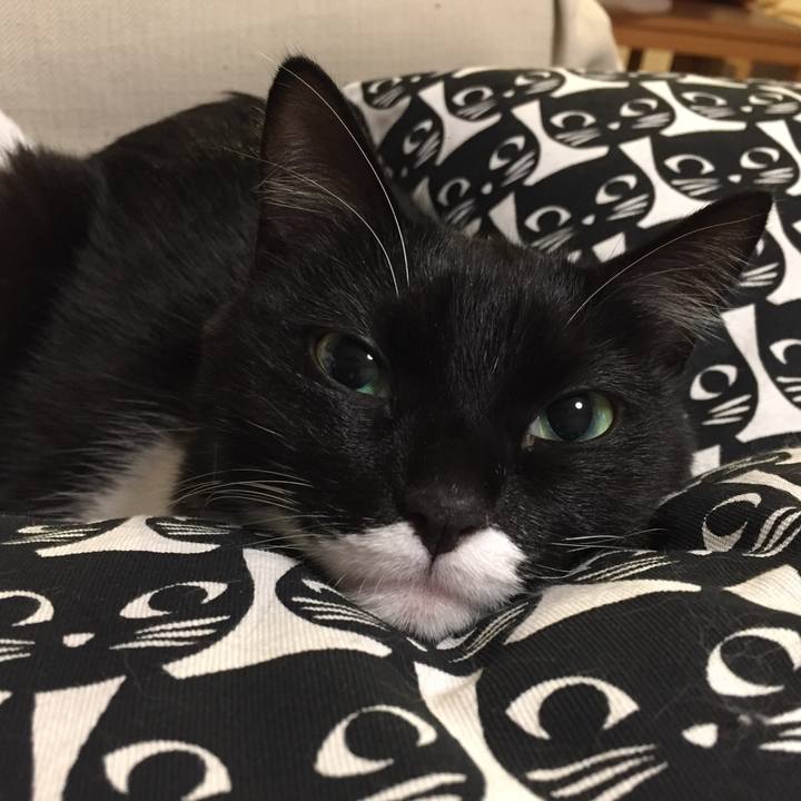 304988aa 4fc9 4b84 b261 e6216997ab46 1520351387304