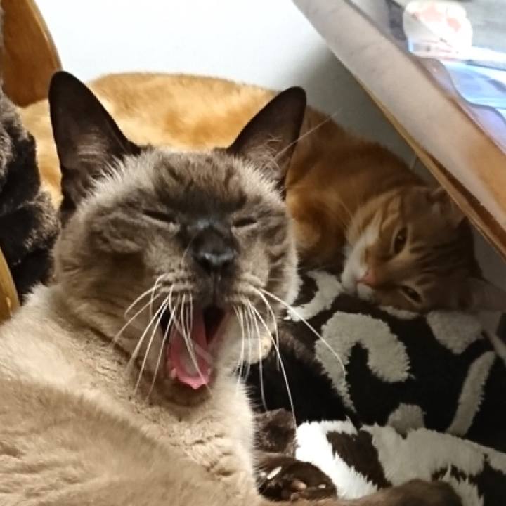 3049c703 17d2 453b 9de1 55eaa319cc7f 1581812238309