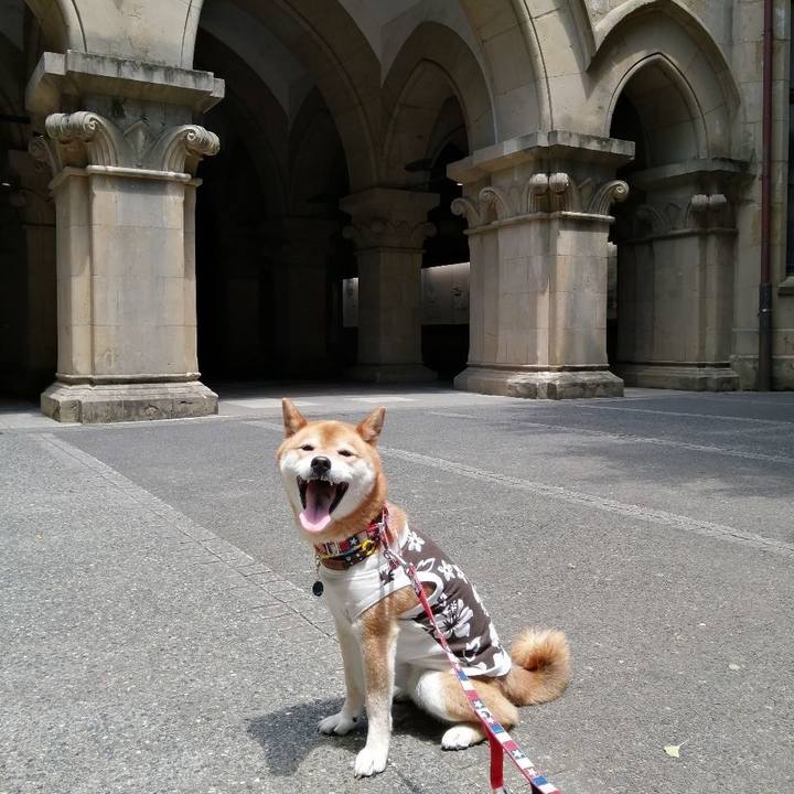 3049c91e 44fa 4885 9e6b d1c39e70f6eb 1653304606355