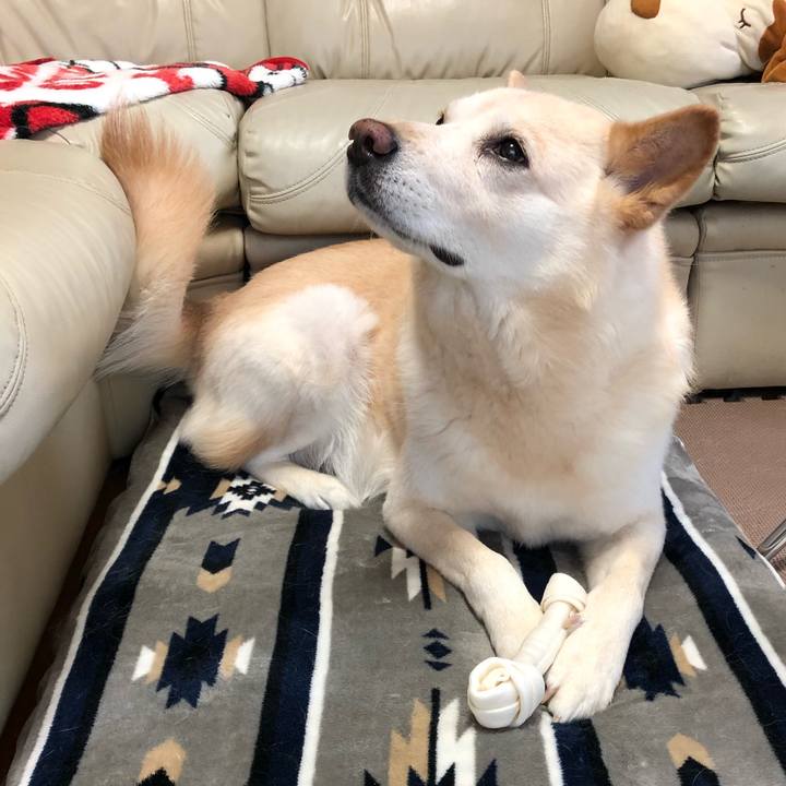 3049d6a4 f379 45c6 8010 b08ea9534c0c 1553853417168