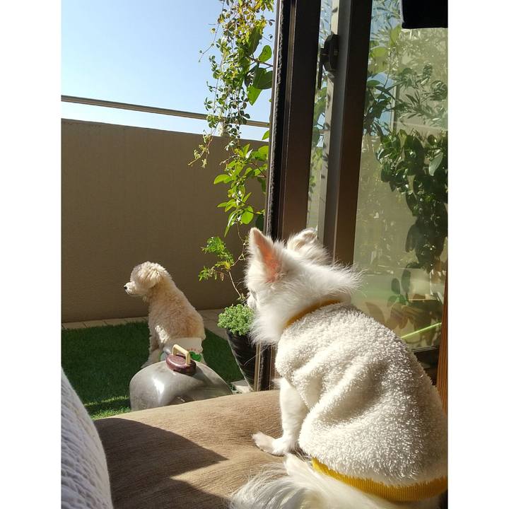 3049f6bf fb96 48d3 8434 a8cf06590f0a 1636172969092