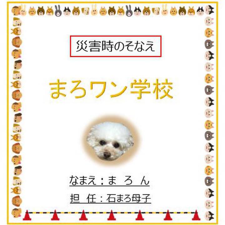 304a0c25 f9a3 4dcf a2c8 8a59638b180a 1529288571929