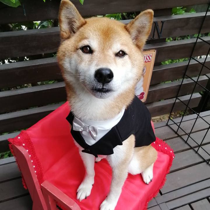 304a411e b637 4519 9e41 e1aa967e075f 1689393587033